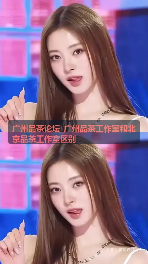 广州品茶论坛茶舍水质冲泡实验